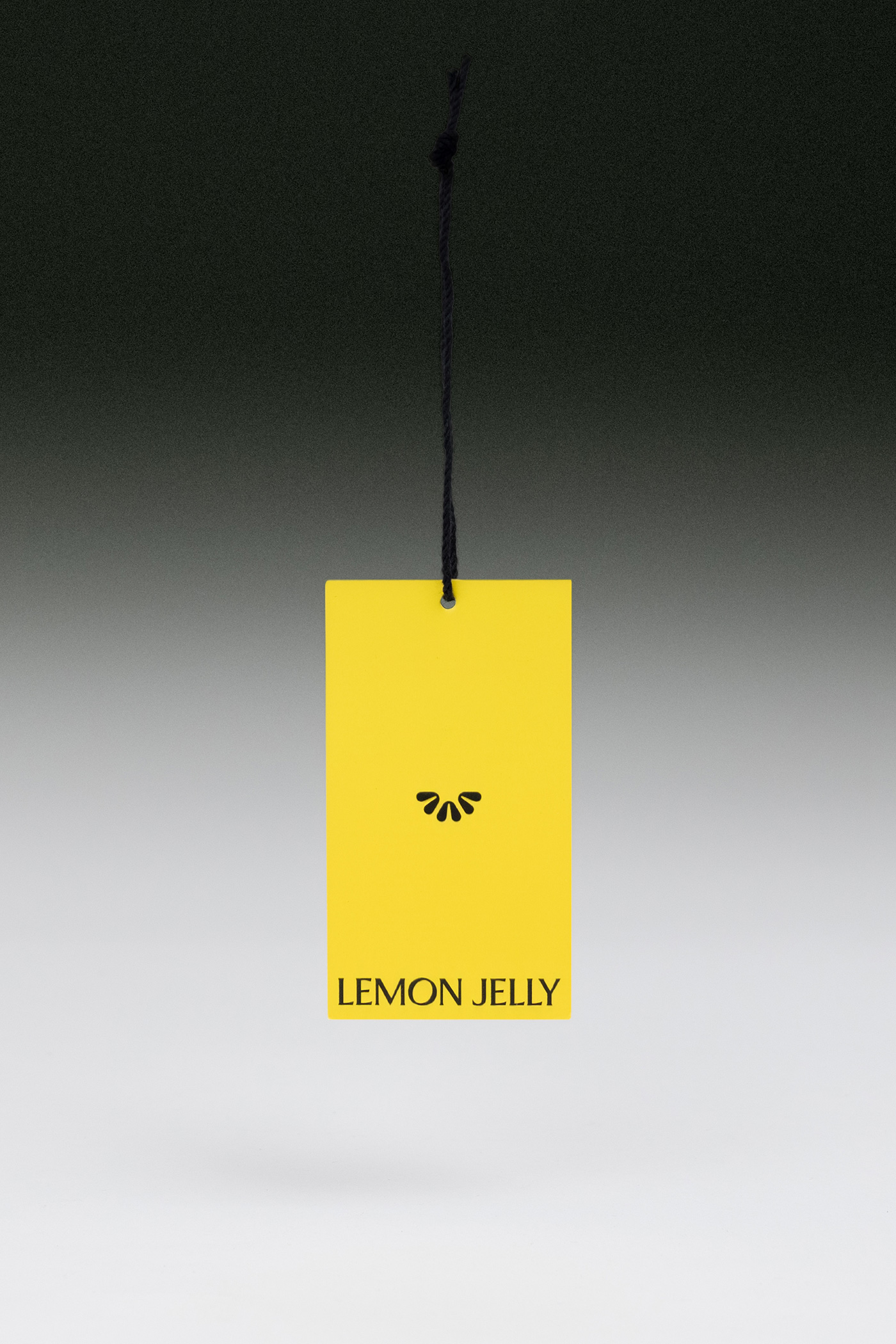 LEMON-JELLY_ANOTHER-COLLECTIVE_02
