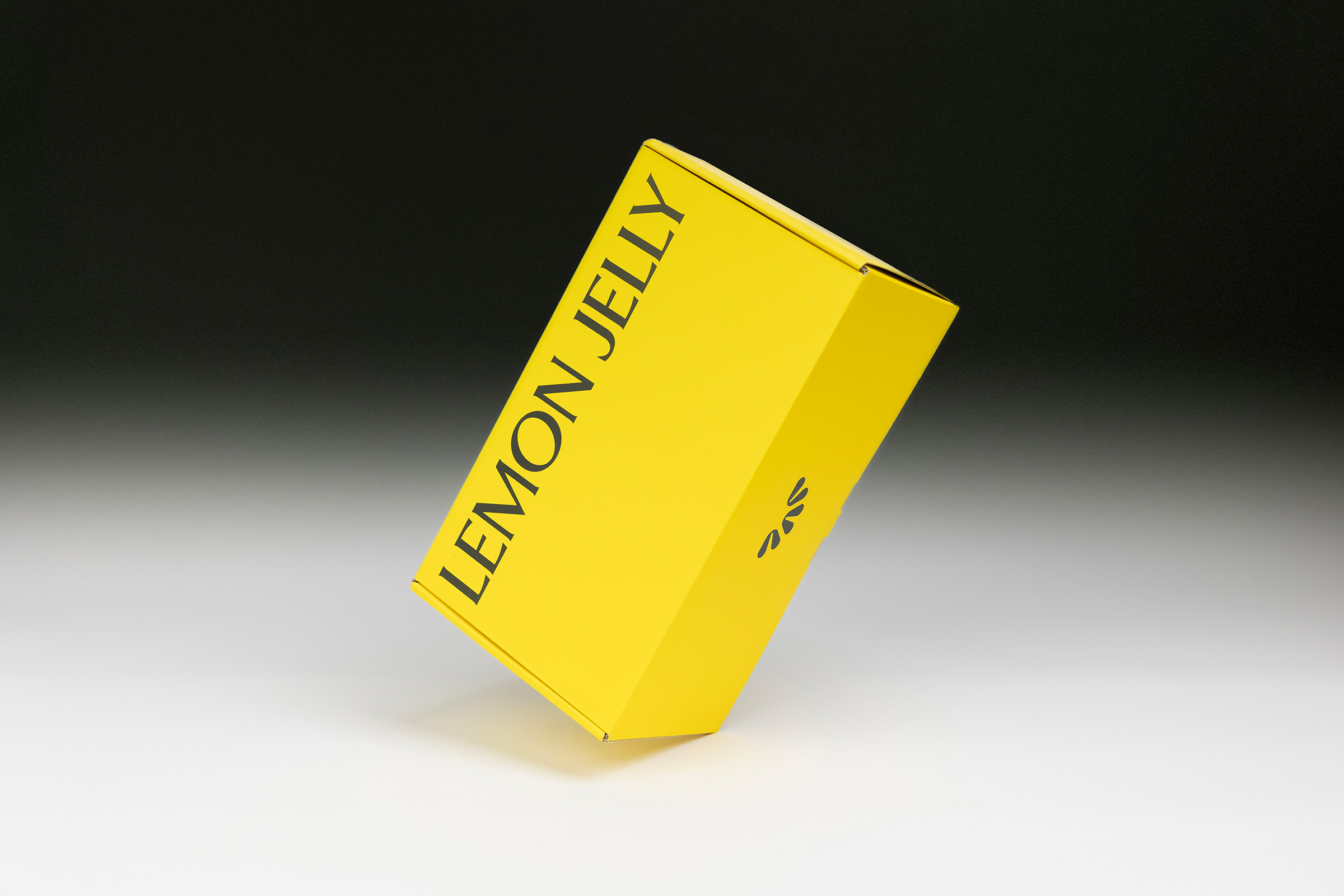 LEMON-JELLY_ANOTHER-COLLECTIVE_21